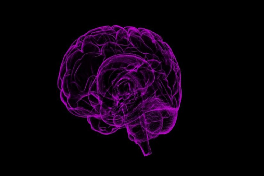 Scientists find molecule that blocks brain cell death in Parkinson's, Alzheimer's