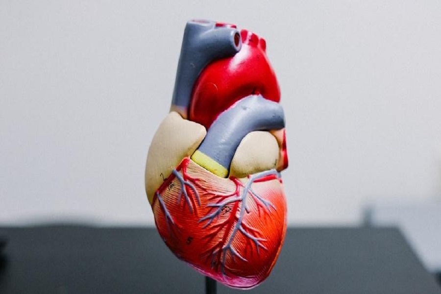 Only 3 out of 5 heart failure patients see cardiologist at least once a year