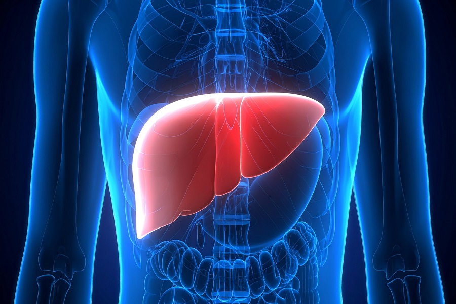 Study shows how plastic particles in food, beverages can harm your liver