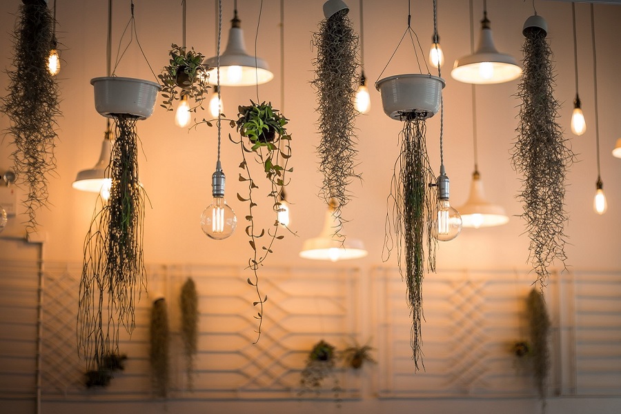 Lighting Shopping Guide