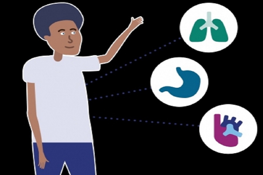 Policy reforms key to boost global equity in organ transplantation: Lancet