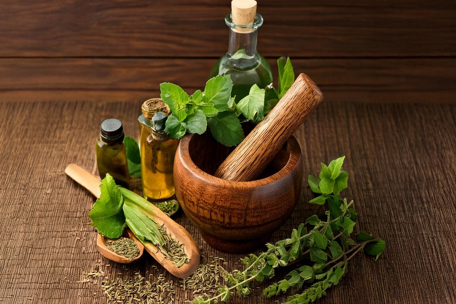 Traditional medicine crucial to achieving global goals of Universal Health Coverage: Ayush Ministry 