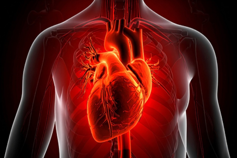 US researchers develop AI model improving sudden cardiac death prediction