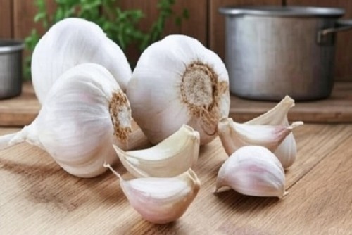 Garlic: Not Just Flavorful but Excellent for Health – Ayurvedic Benefits You Should Know