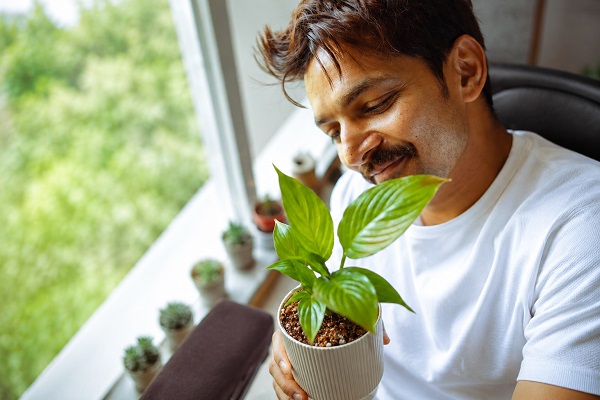 Harshvardhan Rane finds joy in watching things grow, shares glimpse of his Sunday off