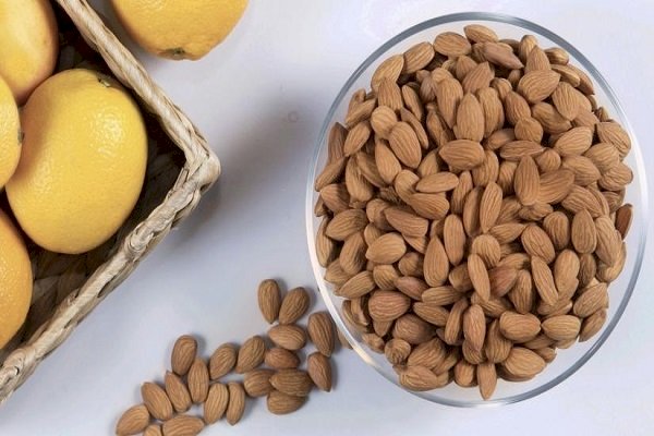 Daily almond intake cost-effective way to prevent cardiovascular disease