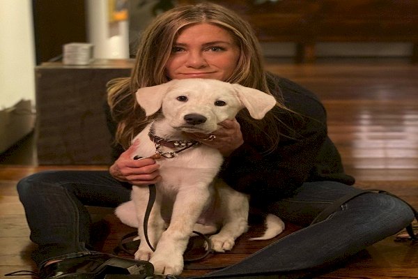 Jennifer Aniston launches vegan hair care line