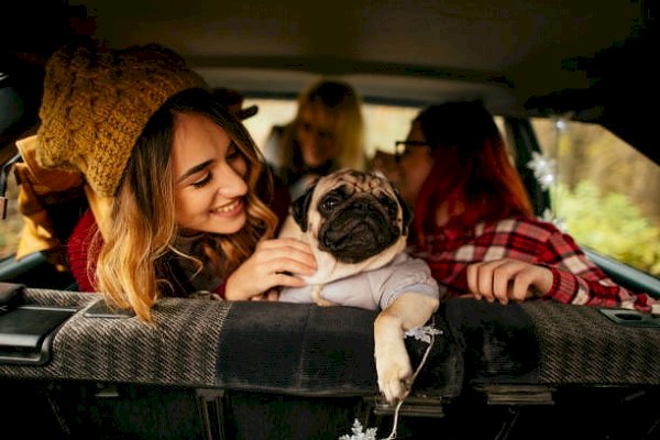 Things to consider before planning a journey with pets