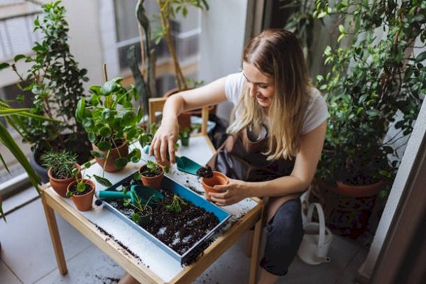 Prep your balcony garden to enjoy home grown desi vegetables