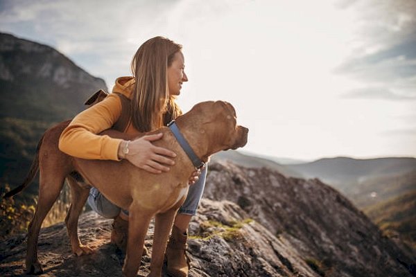 Take your pet on holiday with you