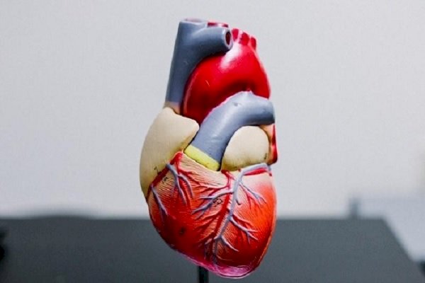 Indians report unexpected rise in heart attacks, strokes in close network