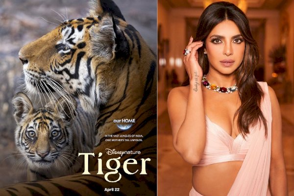 Priyanka Chopra had 'fun' exploring jungles through the film 'Tiger'