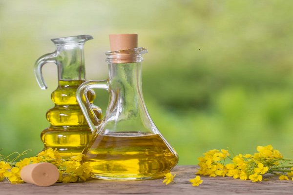 Is replacing butter with high-quality plant oils healthy?