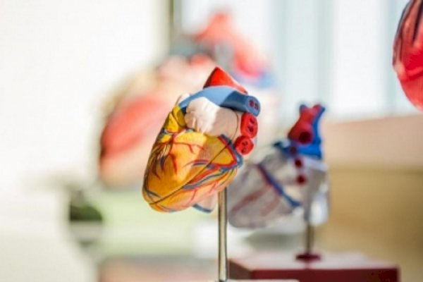 How this common chemotherapy drug can raise risk of severe damage to heart