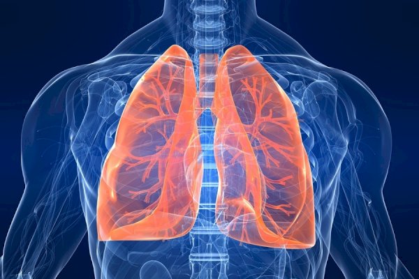 World Lung Day: Why non-smokers equally at risk for respiratory diseases