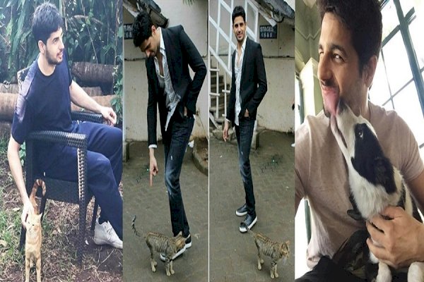 Sidharth Malhotra calls his fans ‘inspiration’: shares love for furry friends