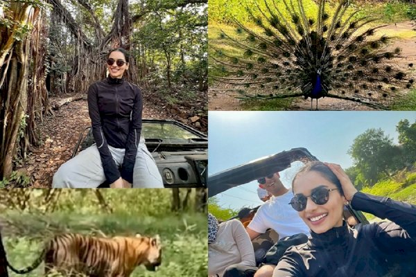 Manushi Chhillar documents her jungle safari in Insta photo dump