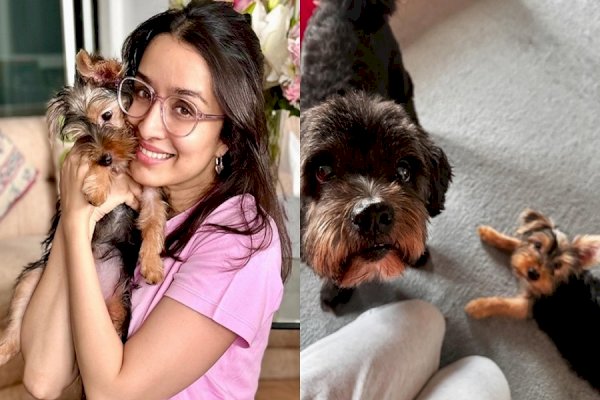 Shraddha Kapoor reveals her pet dog’s favourite song