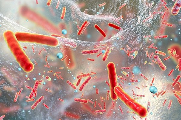 Screening all hospitalised patients can help prevent superbug outbreaks in hospital