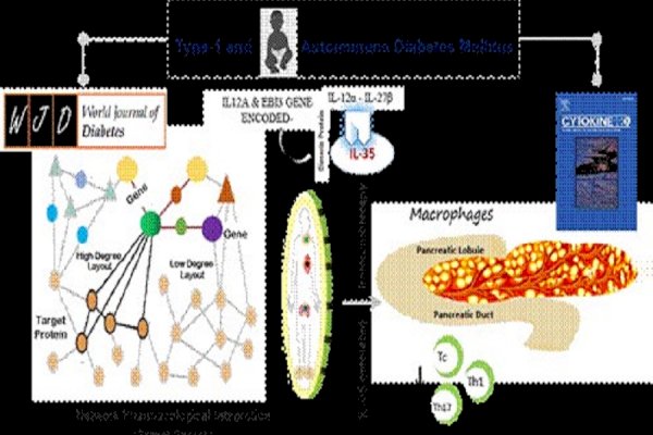 Indian scientists develop new treatments for type I and autoimmune diabetes