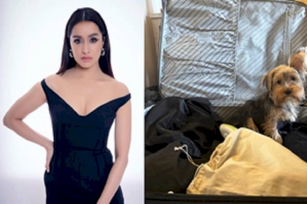 Shraddha Kapoor has a ‘without ticket’ partner for trip