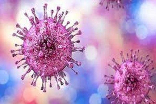 1 person globally acquires new genital herpes infection every second: WHO