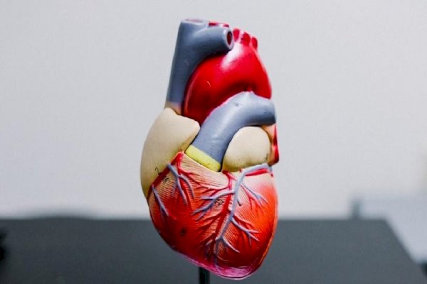 Only 3 out of 5 heart failure patients see cardiologist at least once a year