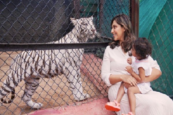 Here’s how Ram Charan’s daughter shares a special connection with a baby tigress