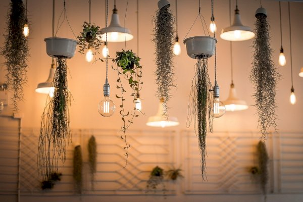 Lighting Shopping Guide