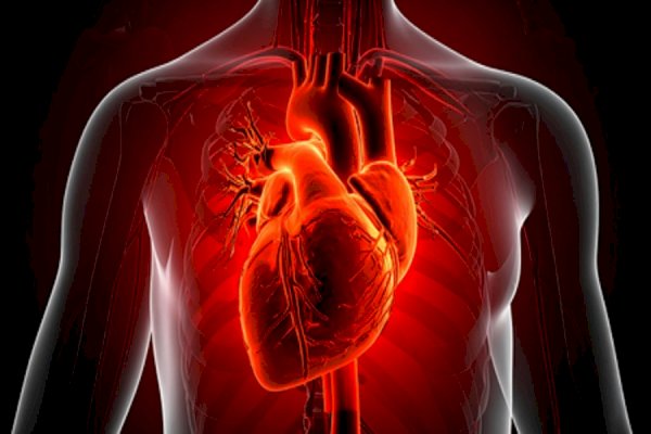 US researchers develop AI model improving sudden cardiac death prediction