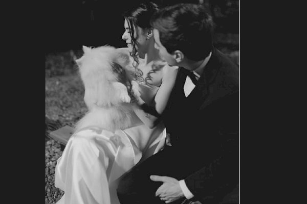 The Rise of Pet-Friendly Weddings: Because Furry Friends Are Family Too