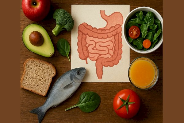 Exploring the Link Between Food and Gut Health: How Your Diet Shapes Your Digestive Wellness