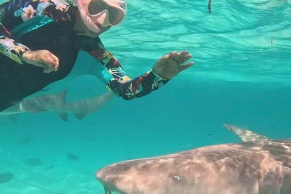 Hina Khan swims with sharks in the Maldivian sea