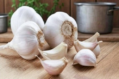 Garlic: Not Just Flavorful but Excellent for Health – Ayurvedic Benefits You Should Know
