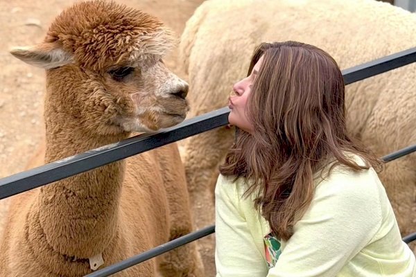 Hina Khan spends time with alpacas during her exotic South Korea trip