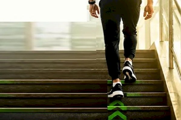 Stairs, not elevators, are the secret to better fitness; learn about their benefits.