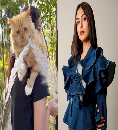 Mrunal Thakur meets special furry-friends in Uttrakhand