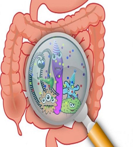 Gut microbiome changes may signal onset of rheumatoid arthritis