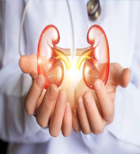 Weight loss, diabetes drugs can also protect kidneys: Study