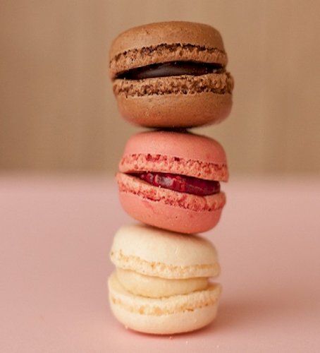 Delicious Pastry, Macaron, and Sweet Recipes to Satisfy Your Sweet Tooth