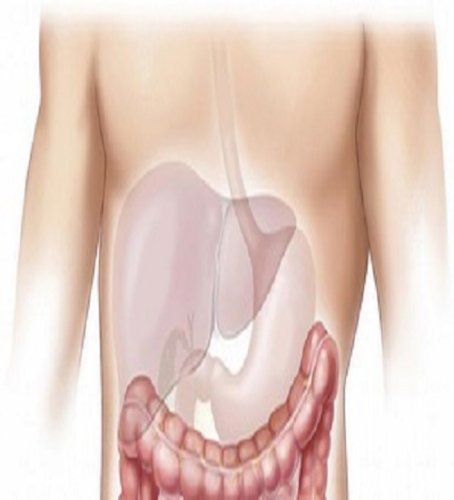 Diabetes drug can effectively treat fatty liver