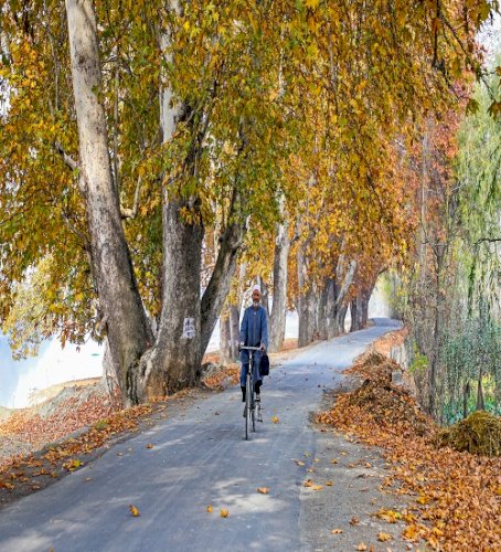 Daylight can boost immune system’s ability to ward off infections