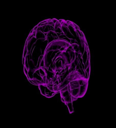 Study finds common gene variant that doubles dementia risk for men