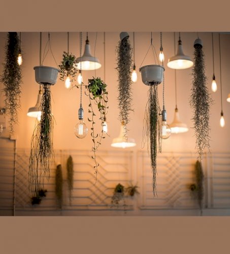 Lighting Shopping Guide