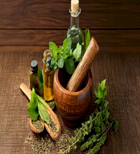 Traditional medicine crucial to achieving global goals of Universal Health Coverage: Ayush Ministry 
