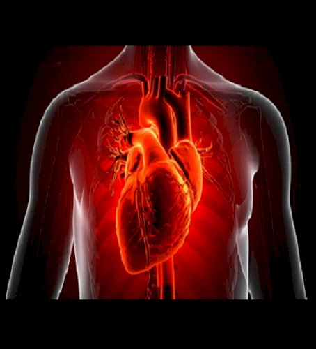 US researchers develop AI model improving sudden cardiac death prediction