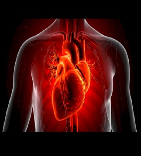 Brighter night-time light exposure may not be good for your heart