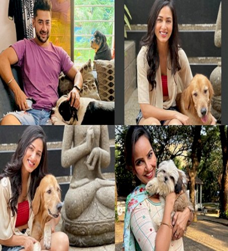 Actors share their bond with their furry friends this International Dog Day!