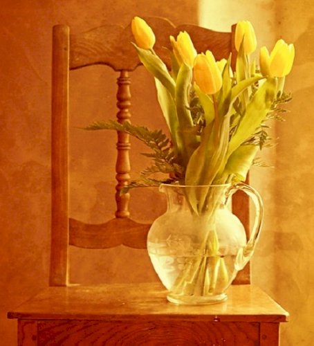 Timeless Beauty: Floral Décor that Speaks from the Heart