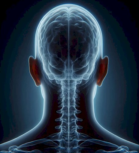 The Hidden Ways We Damage Our Health: Understanding What Harms the Body